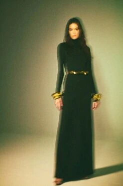 Fenix Dress 10 Fenix Dress -Lunora Shop 001 GA 240321 0006 d8fe3f1b 7067 4236 a8af 731f26837a0a