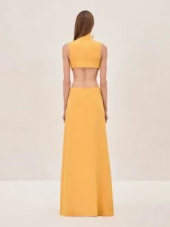 Prague Dress 6 Prague Dress -Lunora Shop PRAGUE DRESS GOLD BACK 1